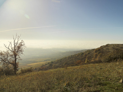 sárhegy_B_49420