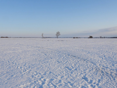 puky_Sasvári János