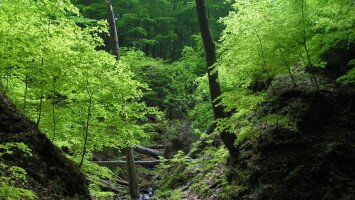 Nemzeti Parkok Hete: Túra a Gortva-völgyben