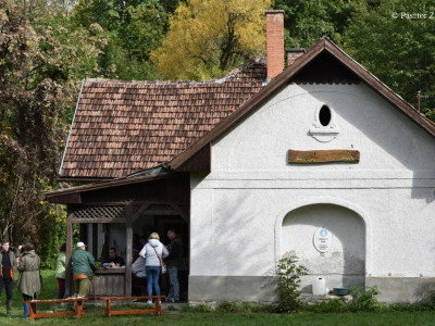 Pasztor Zoltan_240930_1