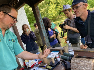 ELTEvedtek_Budai Roxana