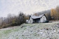 Évindító madárgyűrűzés Jávorkúton