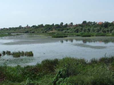 A Takta _ Zákány Albert