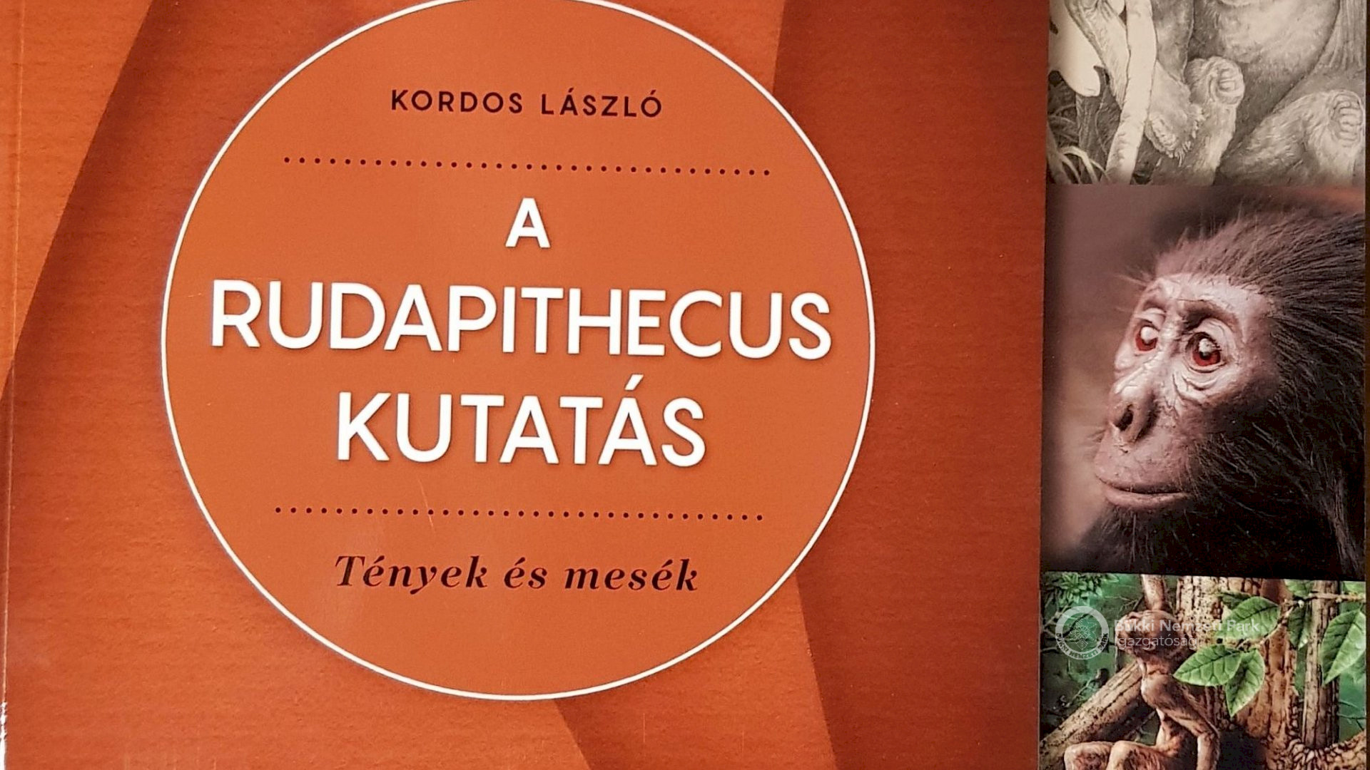 Rudapithecus nyomában Ipolytarnócon - Hír - Harkály Ház Mátrafüred