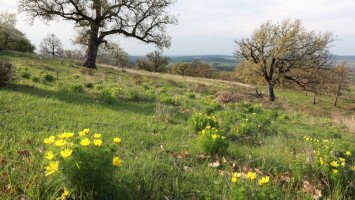 Suba-lyuk tanösvény
