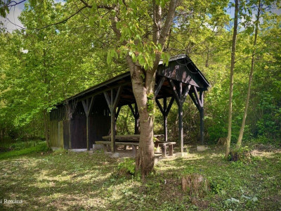 Budai Roxana_240427_5