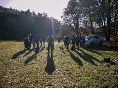 vm_bukk_20211030_15-151988