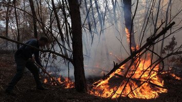 Tűzgyújtási tilalom Borsod-Abaúj-Zemplén vármegyében