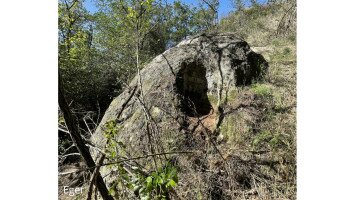 Új kaptárkövet fedeztek fel Eger külterületén