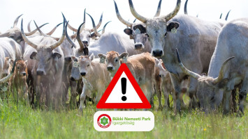 Vigyázzunk állatainkra!