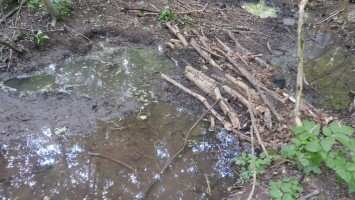 Vízőrző akció a "Bikk Betyár" táborban