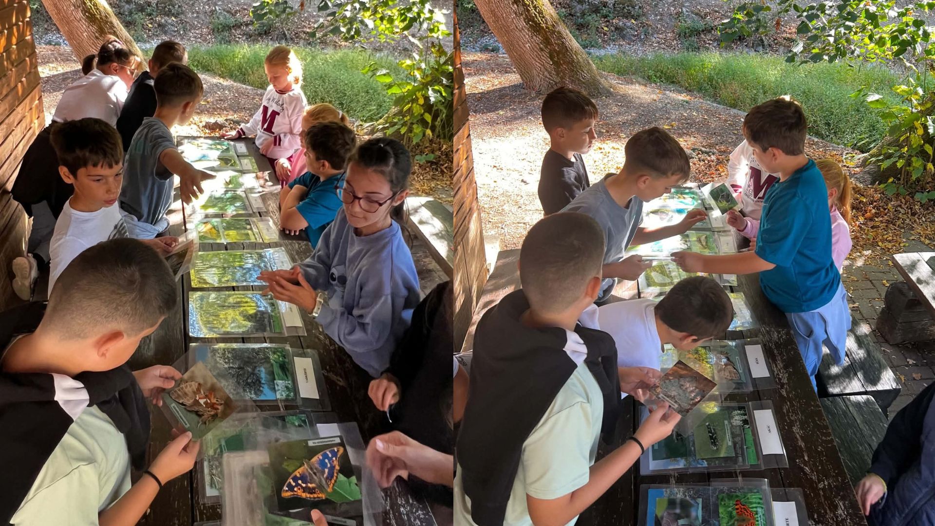 3_261007152541.jpg
