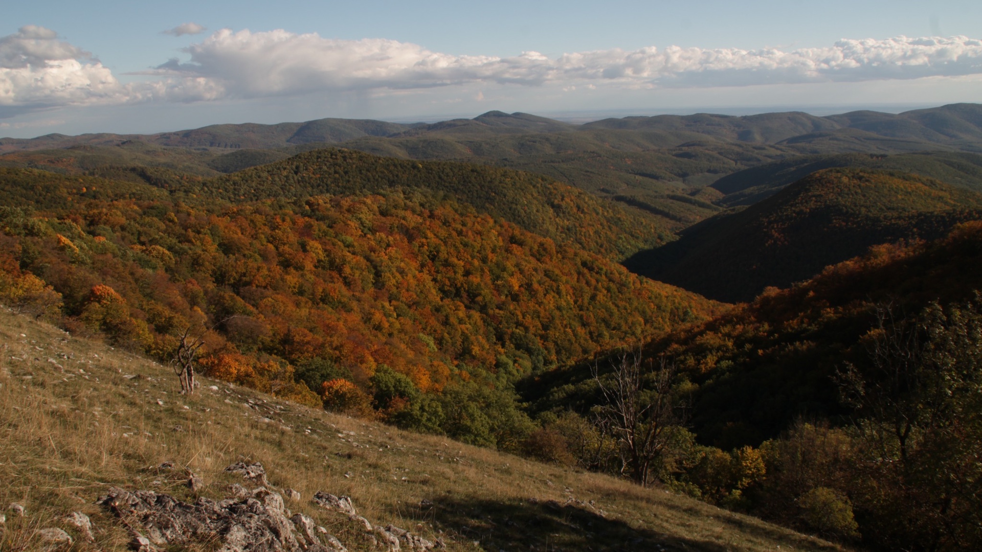 Cserepes-kő.jpg